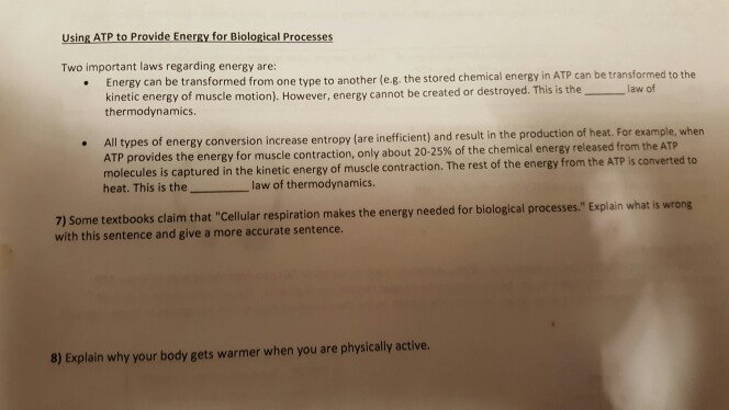 Solved Using Atp To Provide Energy For Biological Processes Chegg Com