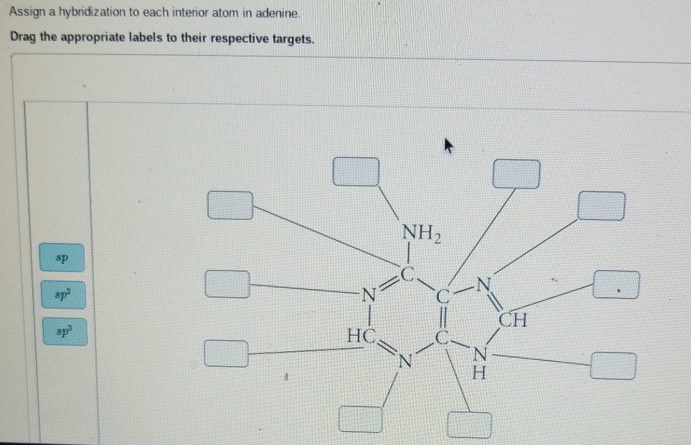 Solved Assign A Hybridization To Each Interior Atom In Cy