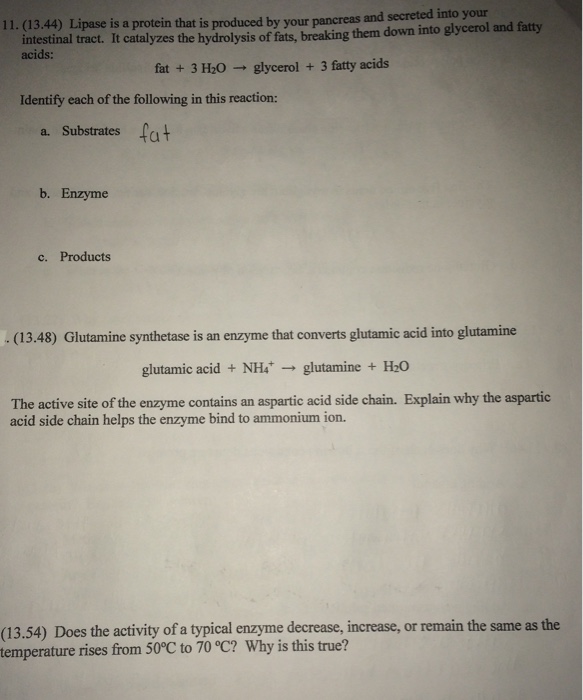does lipo c give you energy Digestive System and Enzymes Answer: 1-(B), 2-(B) #UPPCS #Science #Biology  #DigestiveSystem #Enzymes #PrelimsRevision
