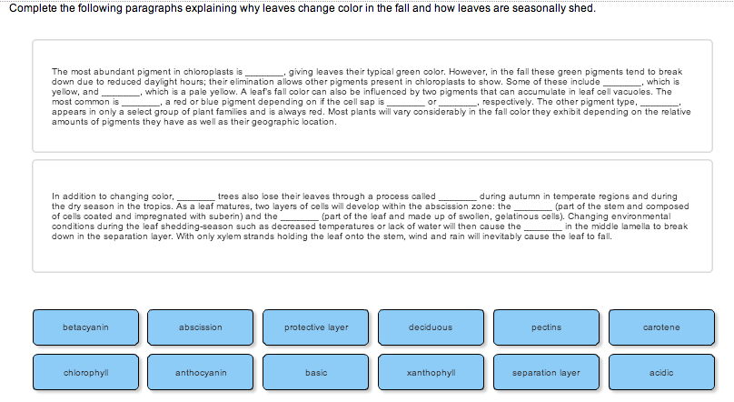 why do leaves change color in the fall quizlet