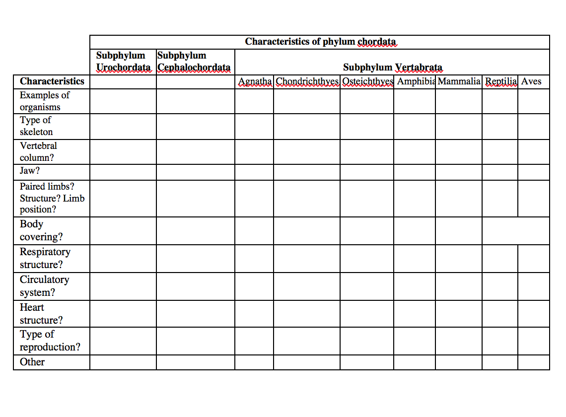 Phylum Characteristics Chart