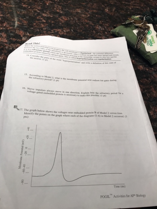 Consider The Parts Of The Word Hyperpularization Chegg 