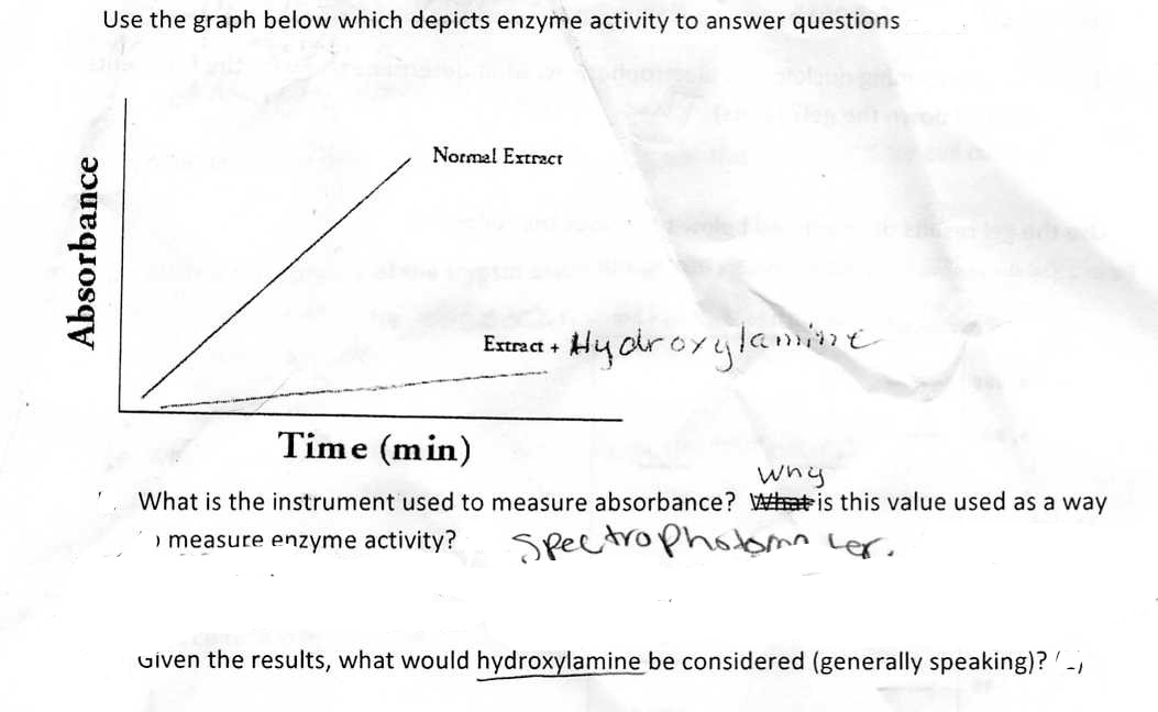 Solved What Is The Instrument Used To Measure Absorbance Chegg Com