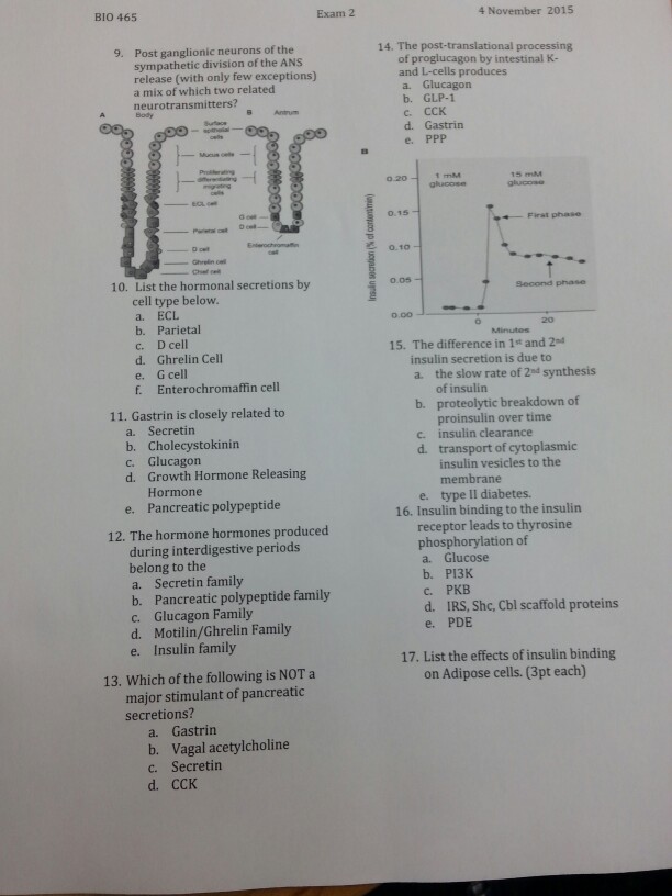 Exam Short Is Worth Points Answer Solved: ... 200 Rt Sho This