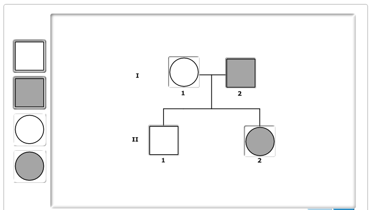 Little Frogs Kumala Chenin - SBTpedigree database Pedigree of