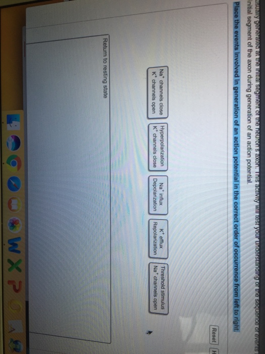 Solved Usually Generated At The Initial Segment Of The Chegg Com