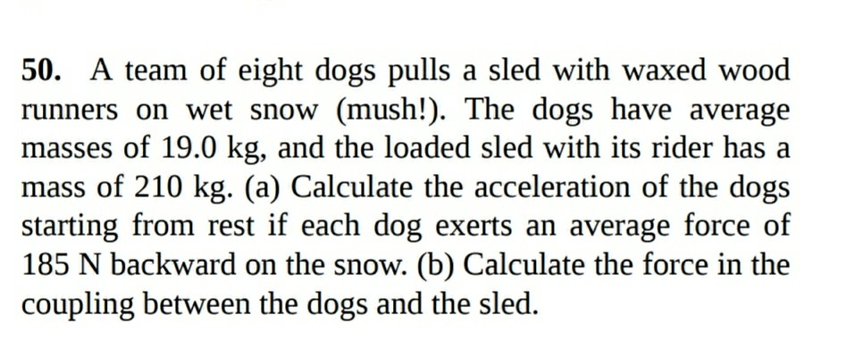 a team of eight dogs pulls a sled