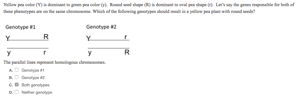 Solved Yellow Pea Color (Y) Is Dominant To Green Pea Colo