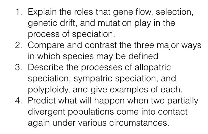 gene flow definition