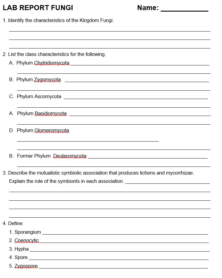 Fungal identification chart picture