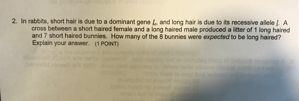 Solved In Rabbits Short Hair Is Due To A Dominant Gene L