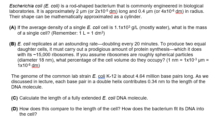 Solved Escherichia Coli E Coli Is A Rod Shaped Bacteri Chegg Com