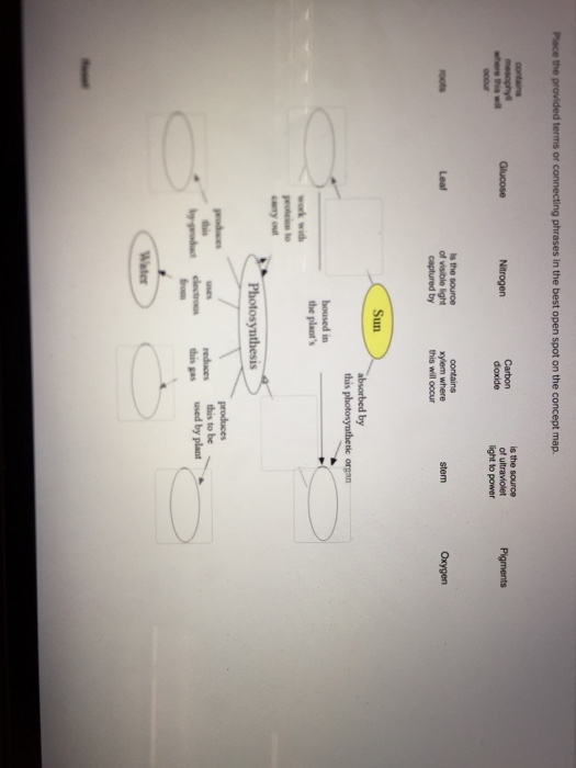 place the provided terms or connecting phrases in the best open spot on the concept map Solved Place The Provided Terms Or Connecting Phrases In place the provided terms or connecting phrases in the best open spot on the concept map