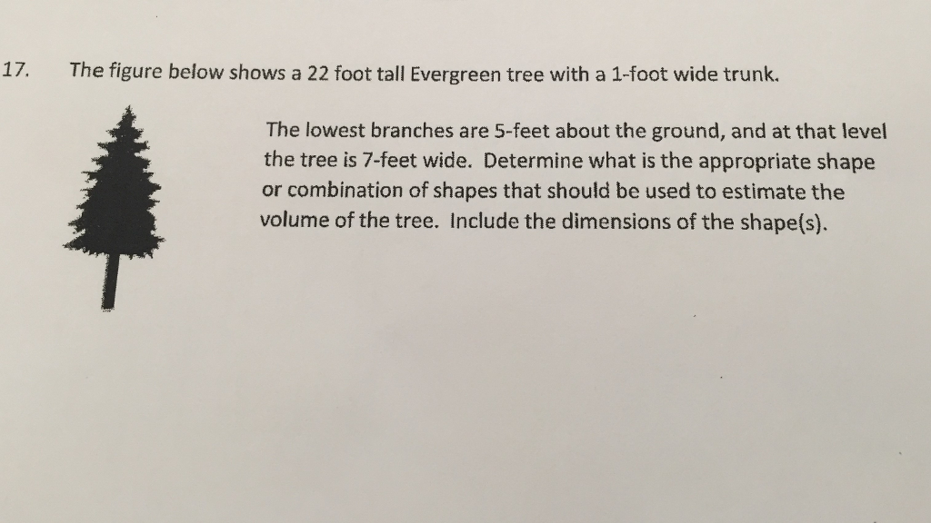 17 The Figure Below Shows A 22 Foot Tall Evergreen Chegg Com