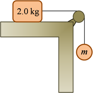 2.0 kg