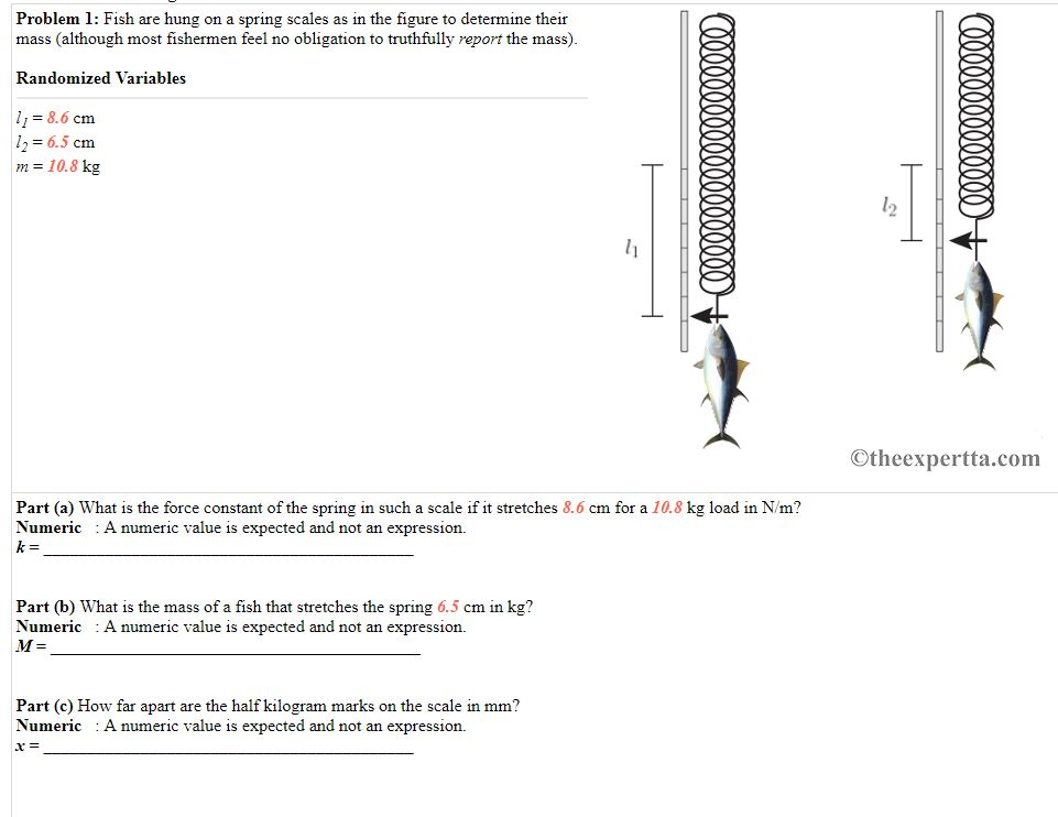 Solved Problem 1 Fish Are Hung On A Spring Scales As In