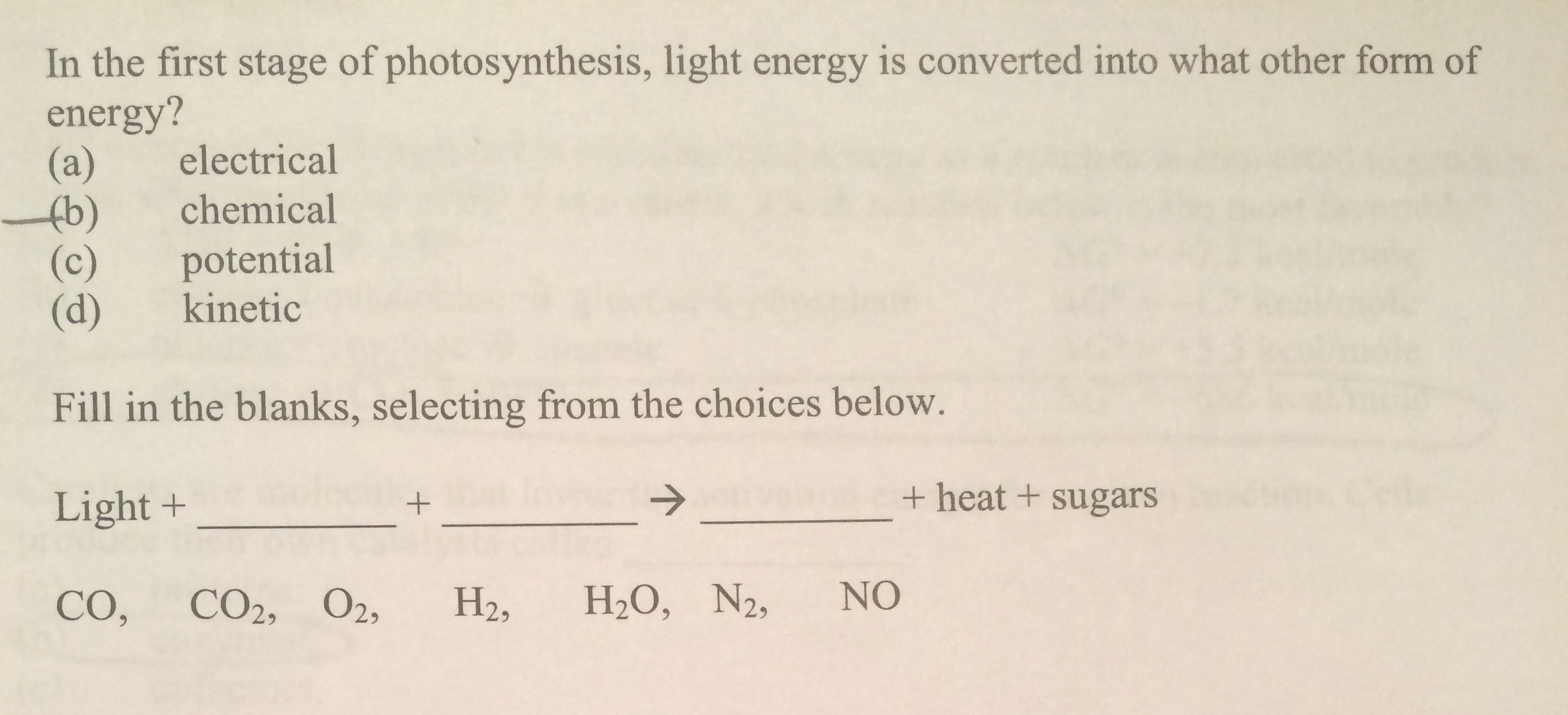 In the first stage of photosynthesis, light energy