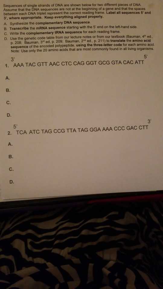 Solved: Sequences Of Single Strands Of DNA Are Shown Below ...