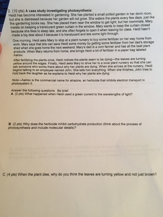 Illuminating photosynthesis worksheet picture