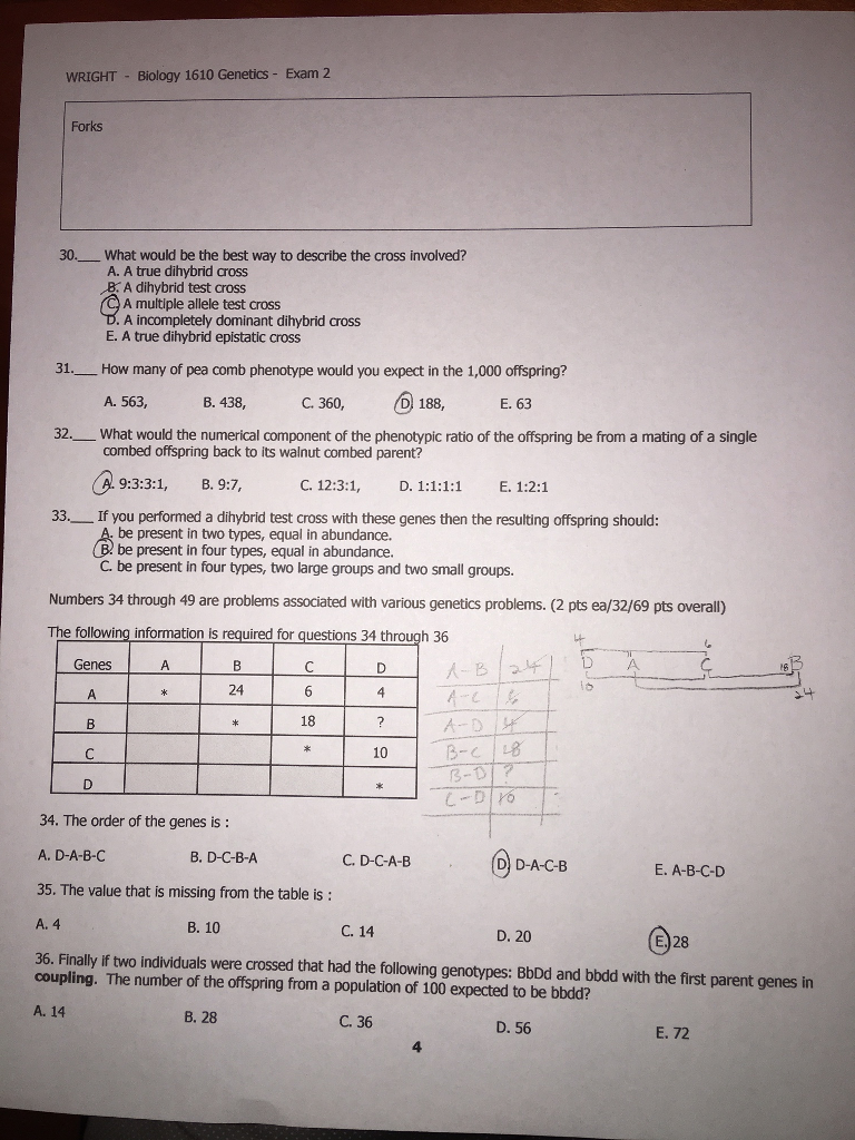 If anybody could help me I would greatly appreciate it