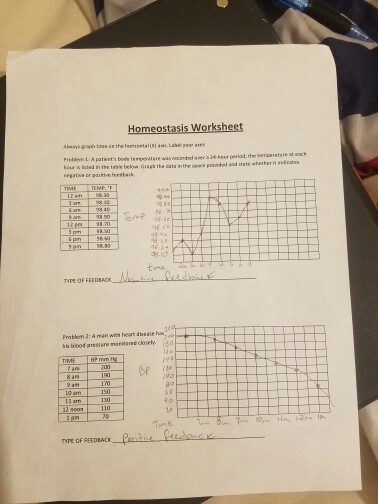 Solved Homeostasis worksheet Preden L A patient's bees | Chegg.com