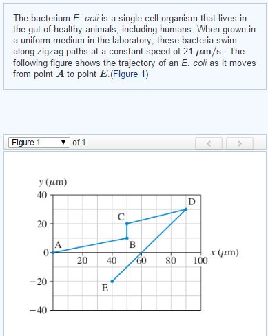 Velocity cellular essay 04 image