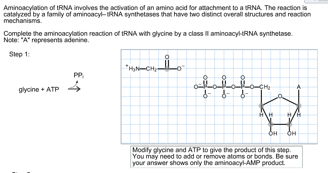 aminoacyl trna synthetase mechanism