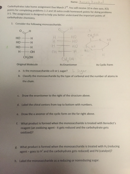 Carbohydrates homework answers picture