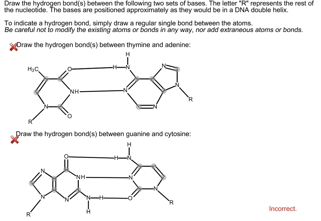 solved draw the hydrogen bond s