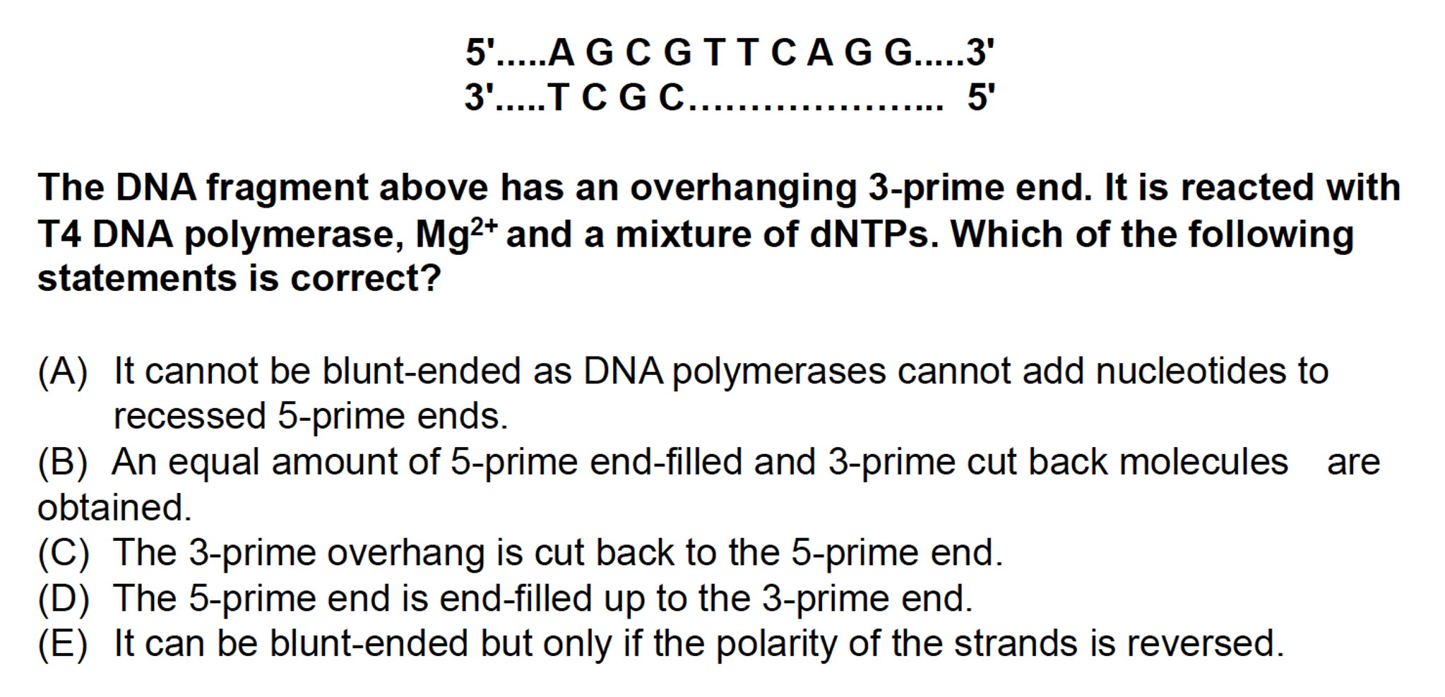 t cgc the dna fragment above has an