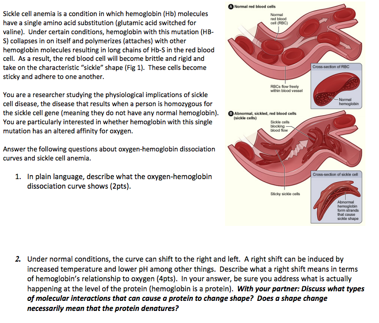 Sickle Cell Anemia Is A Condition In Which Hemoglo ...