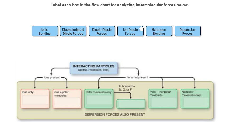 Solved: Label Each Box In The Flow Chart For Analyzing Int ...