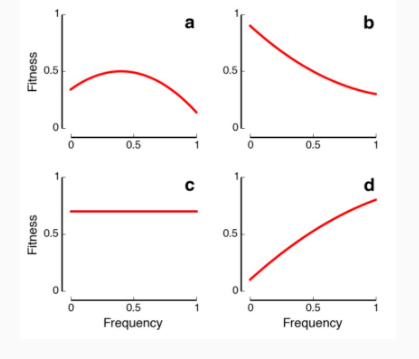 frequency dependent selection