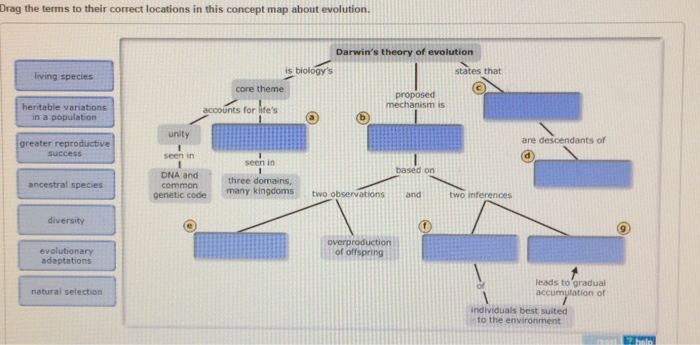 Drag The Terms To Their Correct Locations In This Concept Map About Evolution. Solved: Drag The Terms To Their Correct Locations In This 