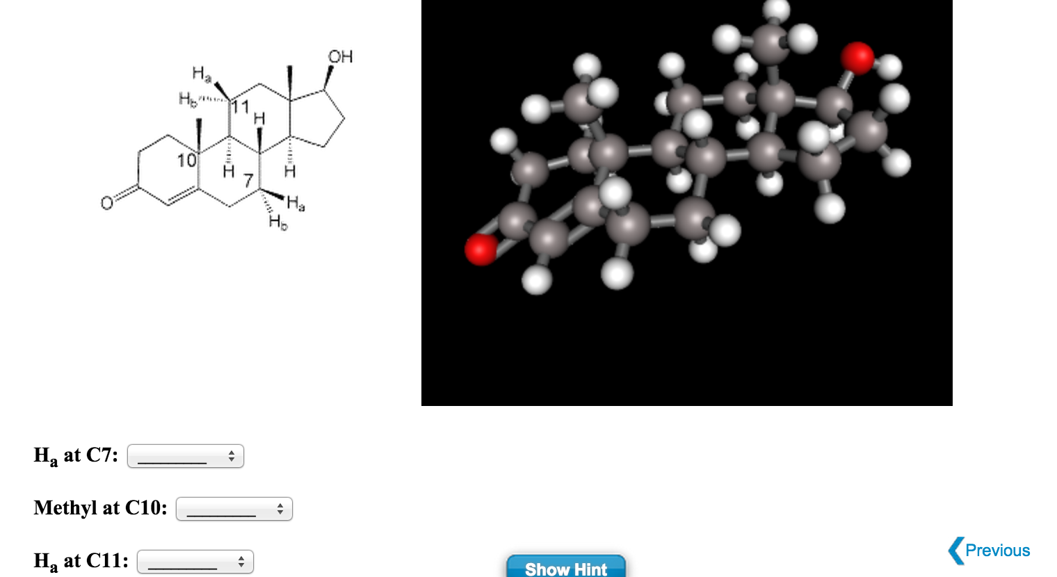 Testosterone (along with androsterone) is the | Chegg.com