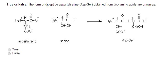 Глицин серин дипептид. Дипептид Серина. Лизин дипептид. Образование дипептида из аспарагиновой кислоты. Аспарагиновая кислота дипептид.