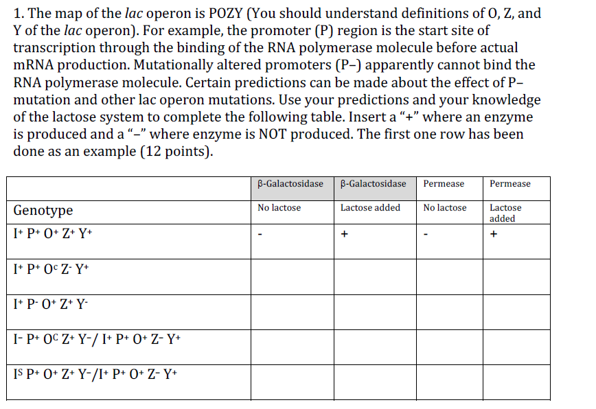 Solved The Map Of The Lac Operon Is Pozy You Should Unde Chegg Com