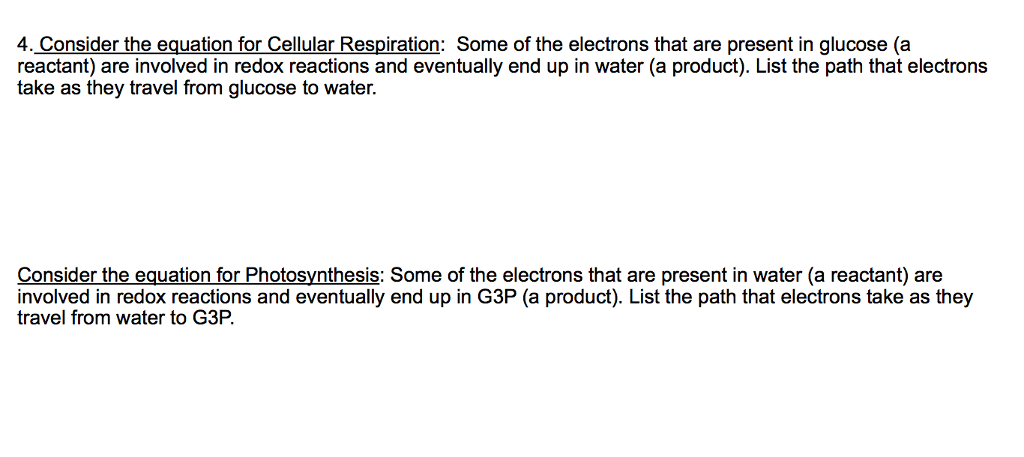 Solved Consider The Equation For Cellular Respiration So Chegg Com