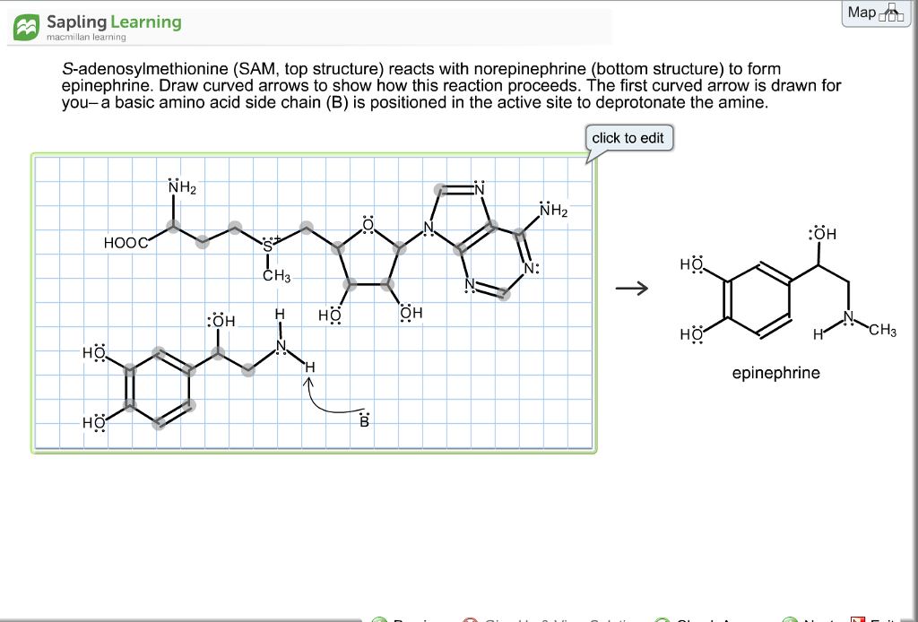 Solved Map Sapling Learning A Macmillan Learning S Adenos 6212