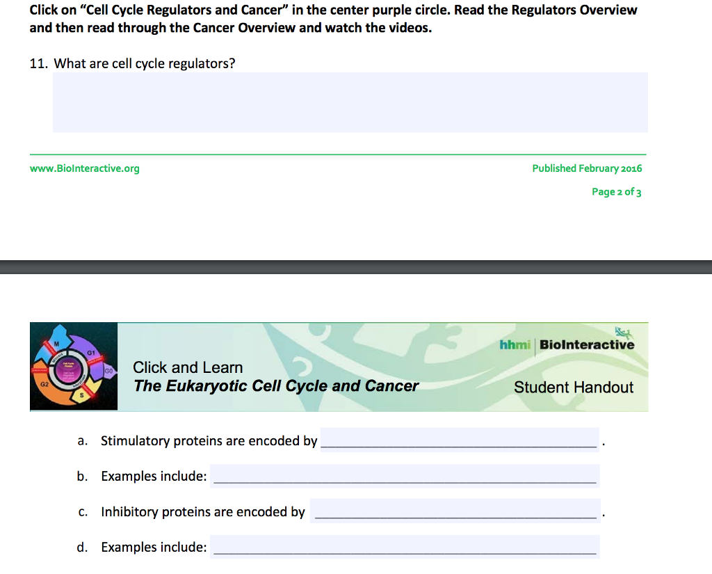 Solved Hhmi Biolnteractive G1 Click And Learn The Eukaryo