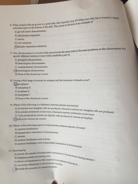 Examples of (a) positions, (b) phases, (c) orientations and (d