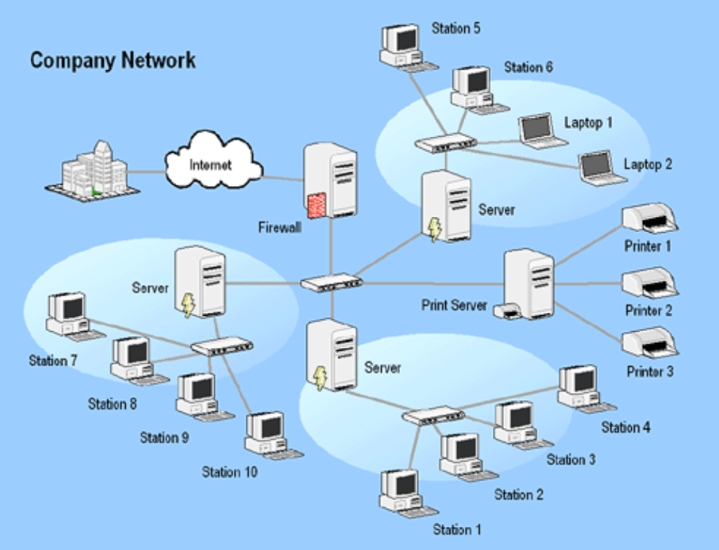 Стандарты сети. Топология Wan. Co Network. Сервер печати интернет. Ветвь сети это в информатике.