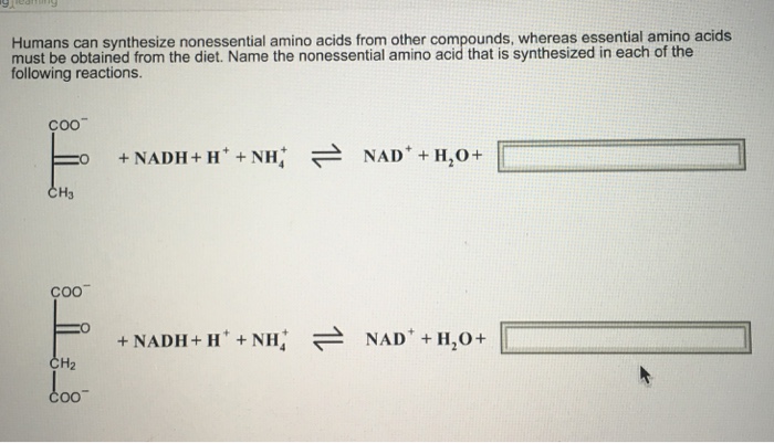 Solved Humans Can Synthesize Nonessential Amino Acids From Chegg Com