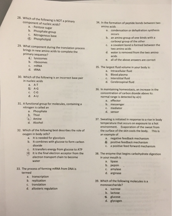 Solved 28 Which Of The Following Is Not A Primary Compon - 