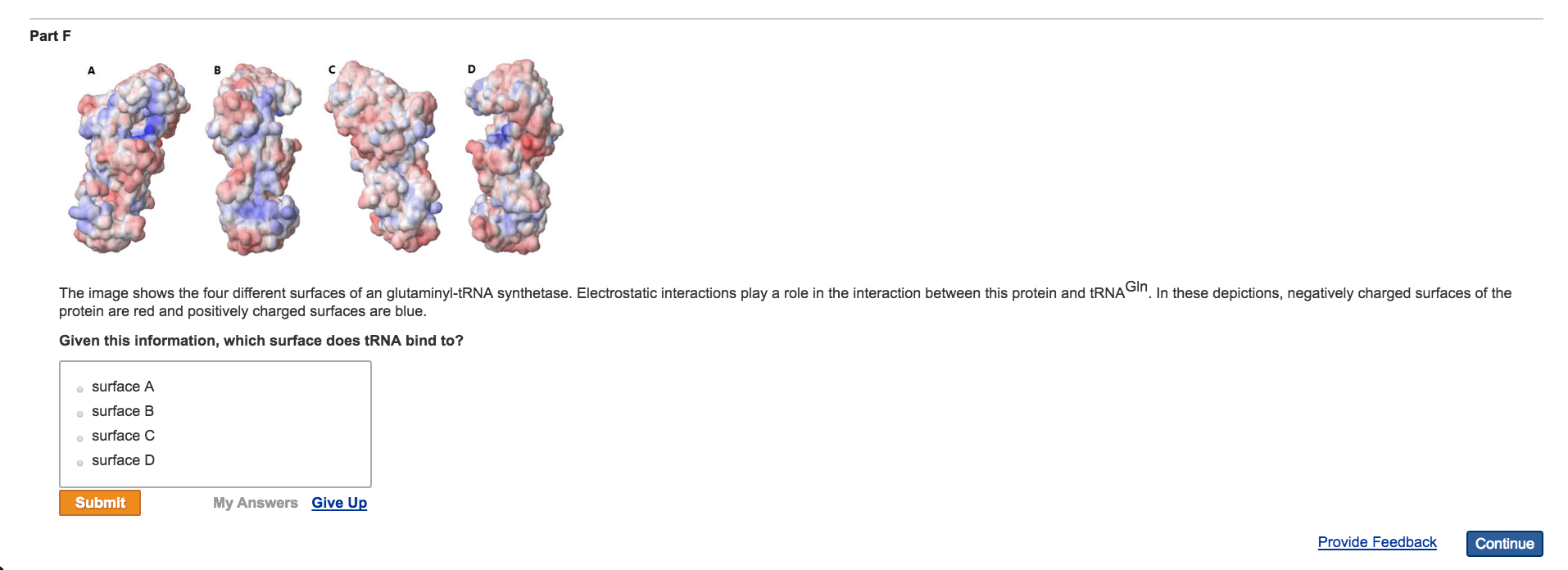 Question: The image shows the four different surfaces of an giutaminyl-tRNA synthetase. Electrostatic inter...