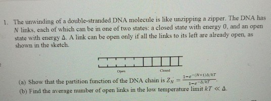 Solved The Unwinding Of A Double Stranded Dna Molecule Is Chegg Com