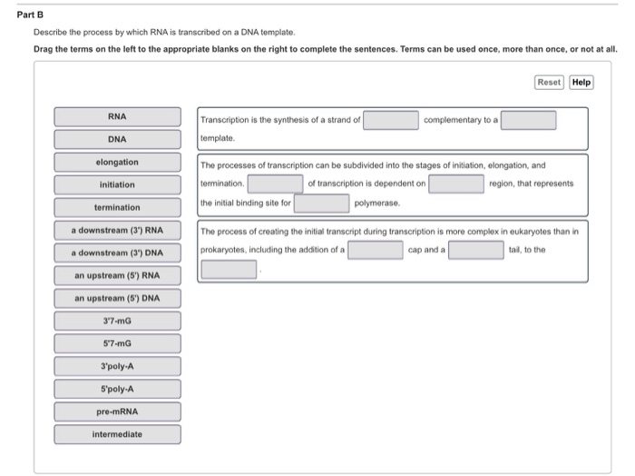 Synthesis of sentences ppt picture