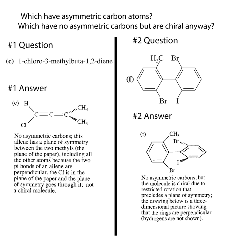 SOLVED: Winnie says that all objects with rotational symmetry also have  point symmetry. Henrico says that all objects with point symmetry also have  rotational symmetry. Who is correct? A. Winnie B. Henrico