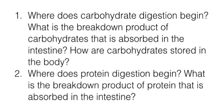 Where Does Carbohydrate Digestion Begin What Is The Chegg Com