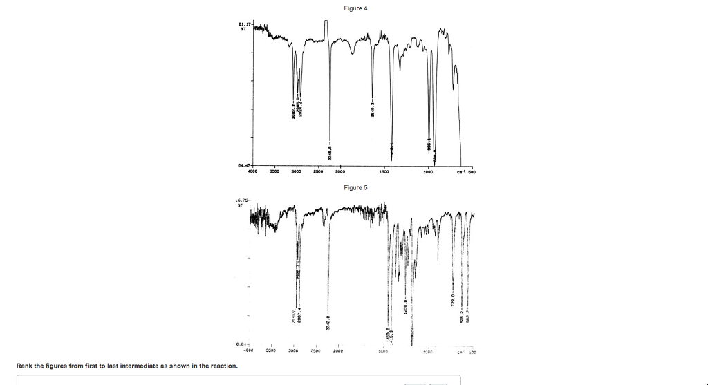 High school algebra worksheets with answers picture